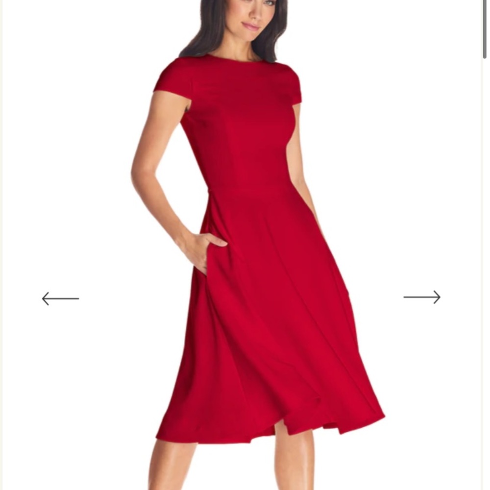 Dress the population “Livia” Dress. XS NWT still in packaging.